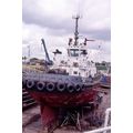 SQ0344 - Grimsby Tug - Lady Sarah - photograph 6x4