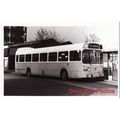 Bus Photo Burnley & Pendle 24 Leyland National ...