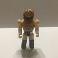 New C3 WWE Superstar Daniel Bryan