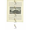Mount Kita, North Senegambia, Mali, Book Illust...