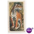 1962 Brooke Bond Tea card Asian Wild Life No.11...