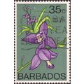 BARBADOS, FLOWER, Bletia patula, green grey 197...
