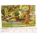 vintage postcard The Pack Horse Bridge, Hayfield