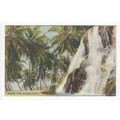 Rosselle Falls Waterfall Jamaica 1939 Postcard