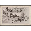 Birthday Greeting To My Dear Wife, c.1910s - Po...