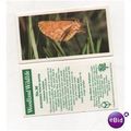Brooke Bond Tea card Woodland Wildlife series n...