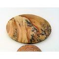 Picture Jasper Freeform Gemstone Cabochon 242