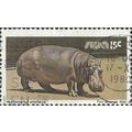 SOUTH WEST AFRICA, MAMMAL, Hippopotamus, brown ...