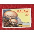 Malawi QEII 1985 Fungi 20t Limacella Guttata Us...