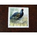 Poland 1970 Game Birds Black Grouse mint stamp ...