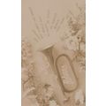 Antique Trumpet Playing Real Photo Greetings Po...