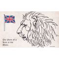 The Glory Of A Lion Is His Mane Boots The Chemi...