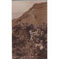 Fairlight Cliffs Hastings Sussex Postcard (Sx71...