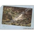 CT South Manchester Postcard Center Springs Fal...