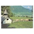 ALPINE PASTURES, SWITZERLAND unused vintage pos...