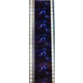 Back to the Future 2. Pk HCH - C071s . - 1 STRI...