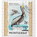MONTSERRAT 1976 SURCHARGED BIRDS UNCHECKED BROW...
