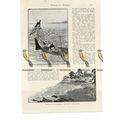 Urashima, Two-Sided Japanese Children's Book Il...