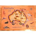 Australia 14 X 20 Illustrated Country Map On Ca...