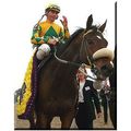 DVD - 1998 BREEDERS' CUP: SILVERBULLETDAY/Artax...