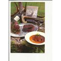 Argyllshire STRONTIAN Kilcamb Lodge Hotel Postcard