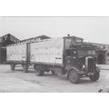 Leyland Beaver Cattle Truck & Trailer Ulster Tr...