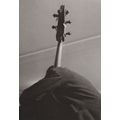 De Bassist Dub Dubois Dirk De Herder Bass Cello...