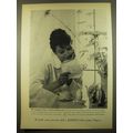 1961 Eaton's Fine Letter Papers Ad - The langua...