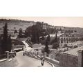 Garden of Gethsemane : photo-style postcard P 49
