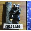 State Magnet Colorado with Bear