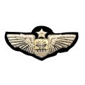 US AIR FORCE COMBAT SYSTEM OFFICER PILOT WING S...