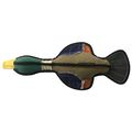 15" Nature Duck