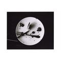 Uri Geller Fork Spoon Food Face On A Plate Ital...