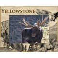 Yellowstone National Park Wildlife Laser Engrav...