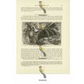 Black And Orange Bat, Book Illustration (Print)...