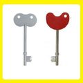 Radar NKS Disabled Key With 1 Braile Pack of 2 ...