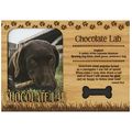 Chocolate Lab Engraved Wood Picture Frame Magnet