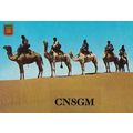 Casablanca Morocco QSL Radio Contact Postcard Card