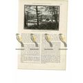 Chesham Church, Bucks, England, Book Illustrati...