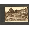 Postcard Devon Dawlish York Gardens