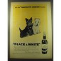 1960 Black & White Scotch Ad - It's the company's coming scotch