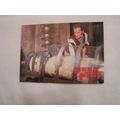1995 Cornerstone Hammer Horrors PROMO NO. P3
