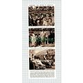 X843) Terrorism And Rioting In Morocco M Grandv...