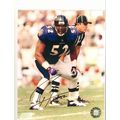 BALTIMORE RAVENS ' RAY LEWIS ' # 52 autographed...
