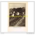 TRAPPIST MONKS OF MOUNT MELLERAY, Book Illustra...