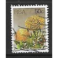 SOUTH AFRICA 1977 SUCCULENTS 50c P LEUCOSPERMUM...