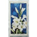 1939 Wills Garden Flowers No. 27 Lilium