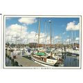 Yorkshire HULL MARINA Postcard (Dennis H010083L)