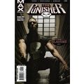 Punisher Max (Vol 1) # 029 NM MODERN AGE COMICS