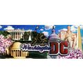 Washington D.C. Foil Panoramic Fridge Magnet
